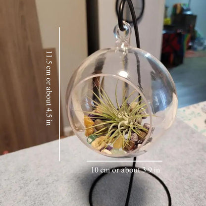 Round Terrarium Planter