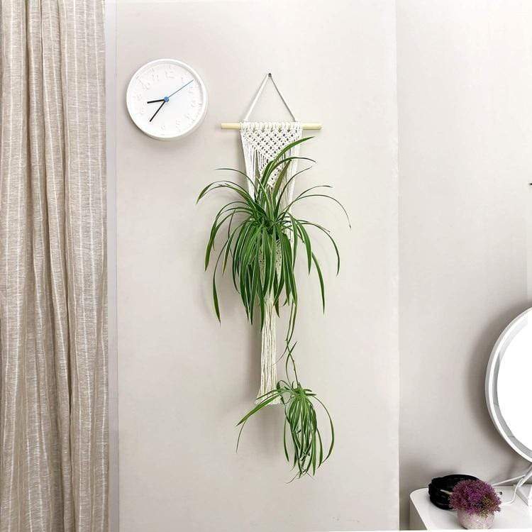 Macrame Wall Planter Hangers