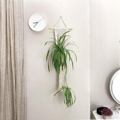 Macrame Wall Planter Hangers