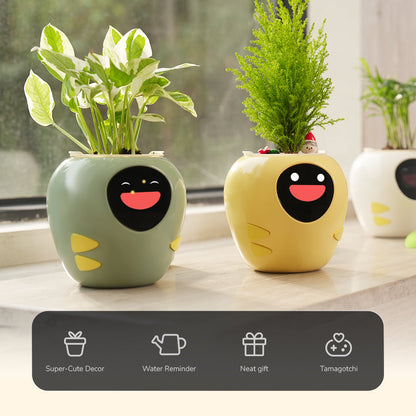 VitaPot Smart Flowerpot(APP Control)