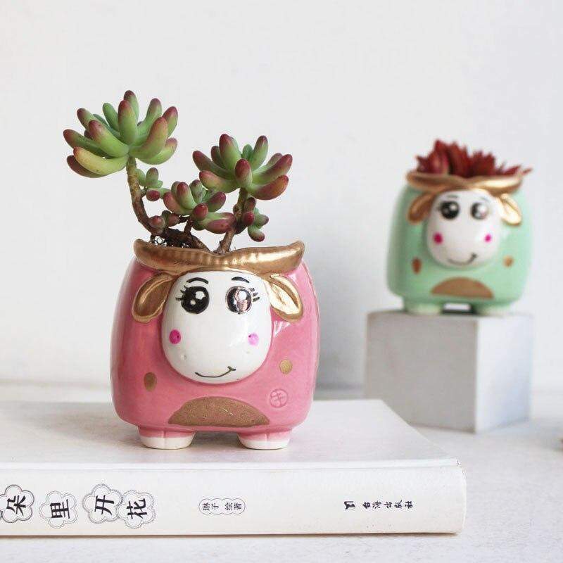 Mini Bull Succulent Flower Pot