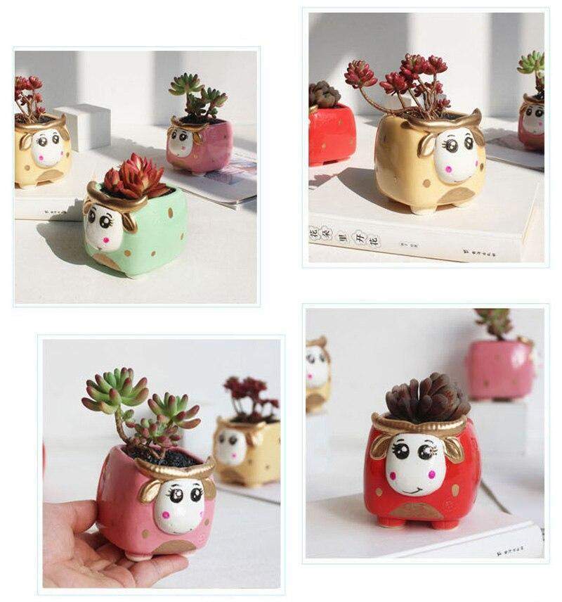 Mini Bull Succulent Flower Pot