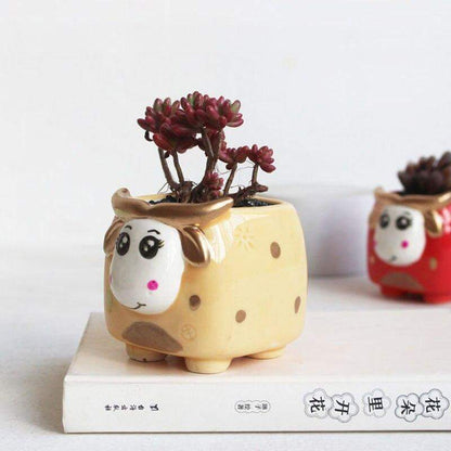 Mini Bull Succulent Flower Pot