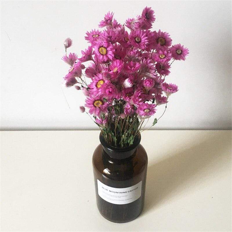 Mini Dried Chrysanthemum Bunch Flower