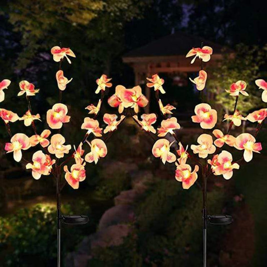 Moth Orchid Led Garden Lights Pack of 2