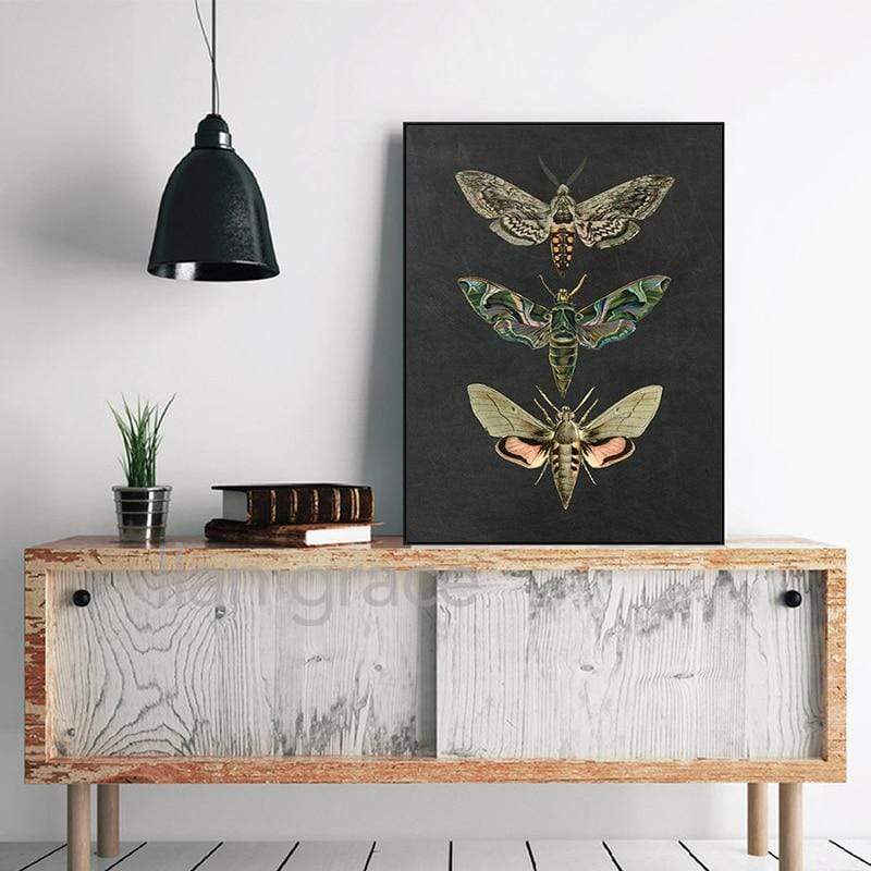Moth Vintage Canvas Wall Art