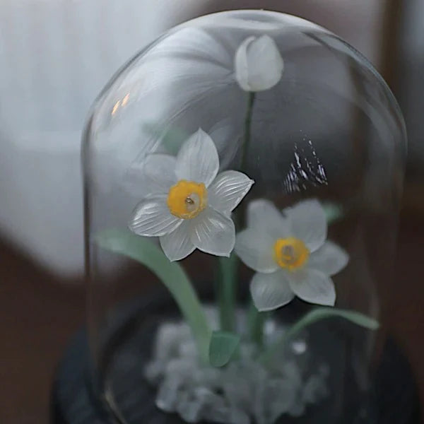 Narcissus Night Light