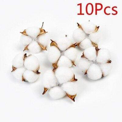 Natural Dried Cotton Stems