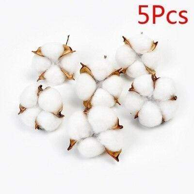 Natural Dried Cotton Stems