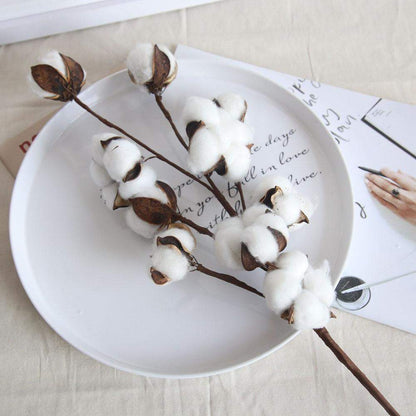 Natural Dried Cotton Stems