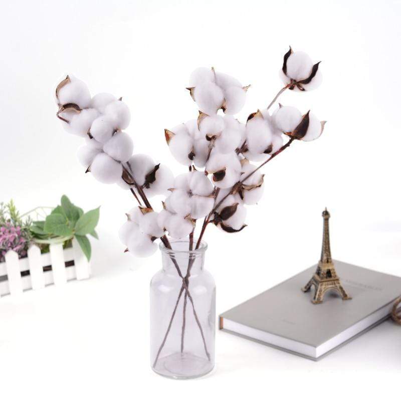 Natural Dried Cotton Stems