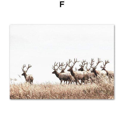 Nature Wall Art Canvas