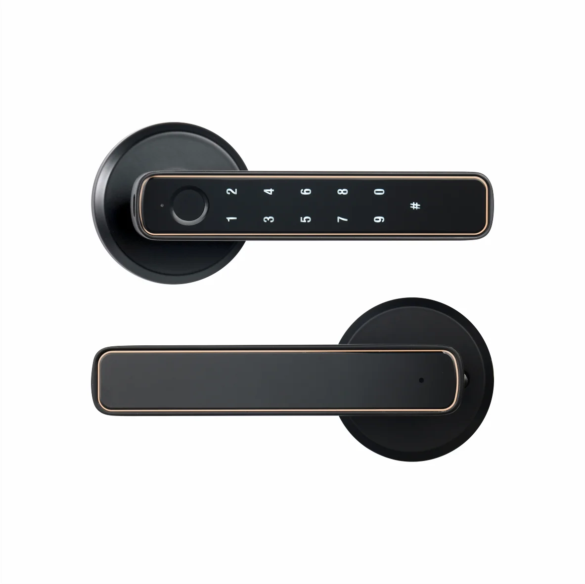 Smart Door Handle Lock