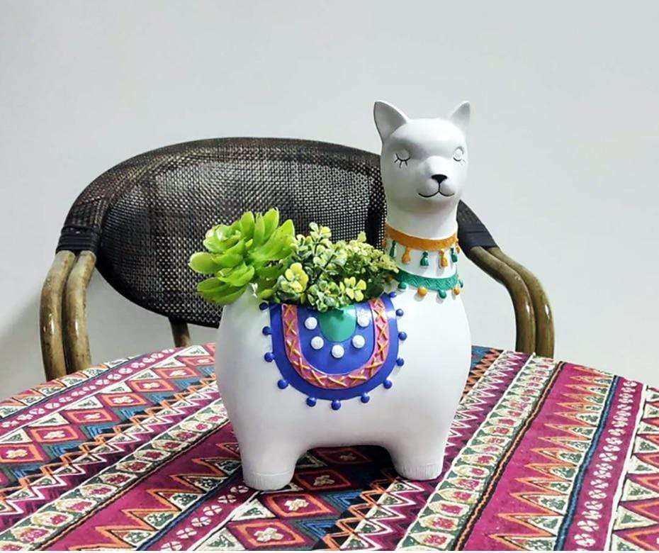 Plant- A- Lpaca