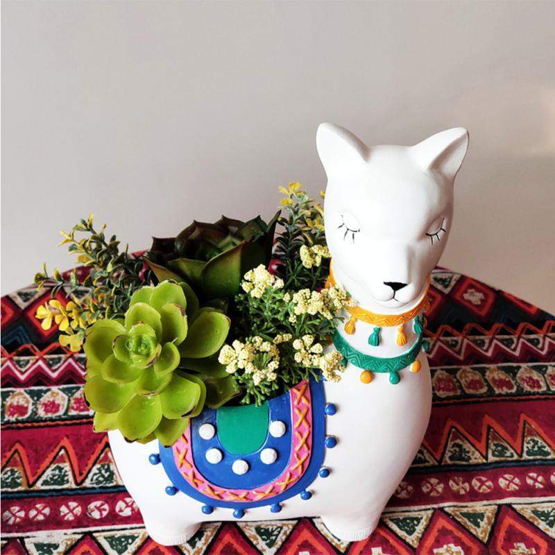 Plant- A- Lpaca