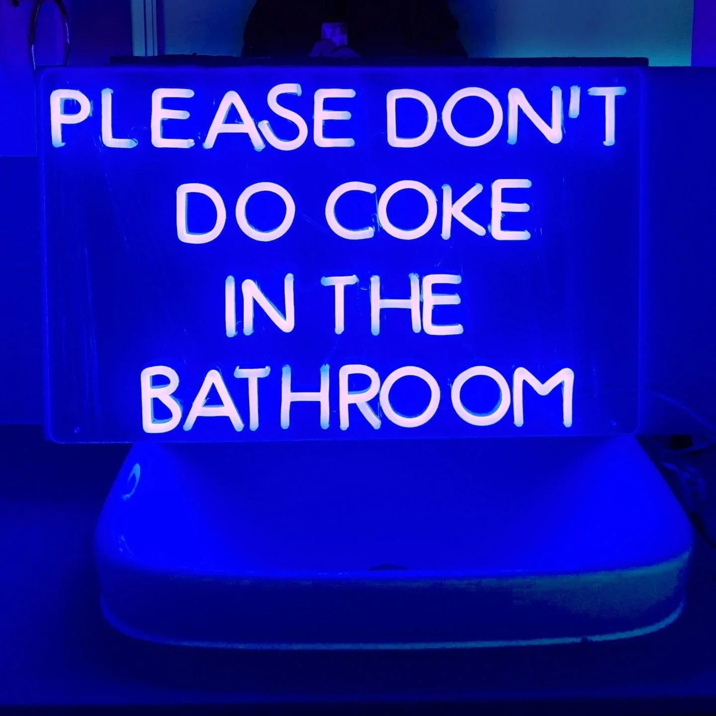 Please Don't Do Coke in the Bathroom Neon Sign