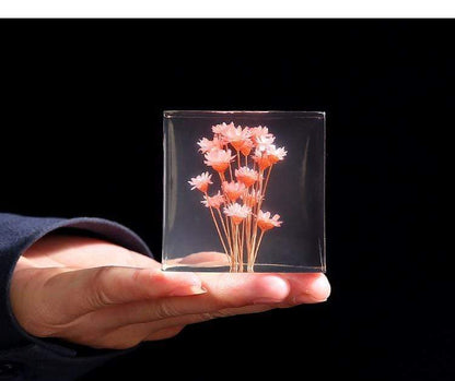 Preserved Flowers Crystal Glass