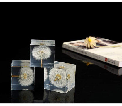 Preserved Flowers Crystal Glass