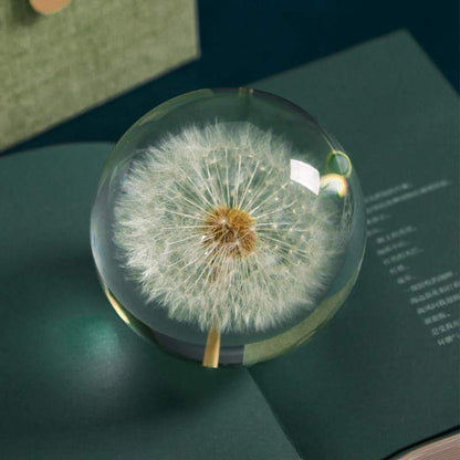 Real Dandelion Crystal Lens Ball