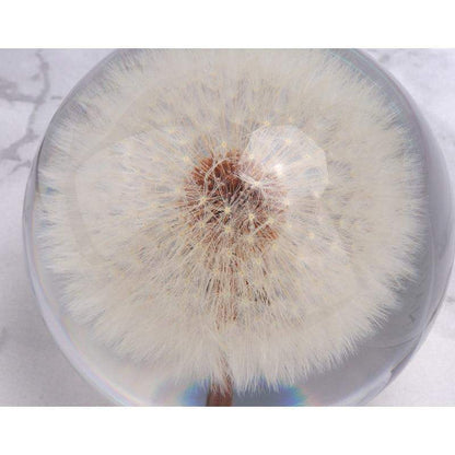 Real Dandelion Crystal Lens Ball