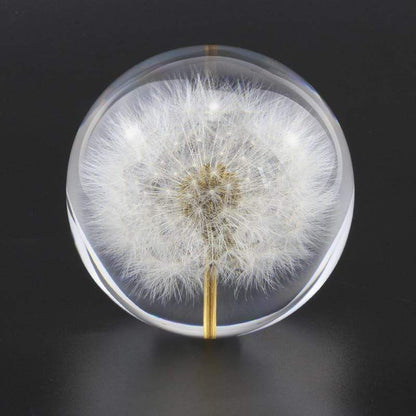 Real Dandelion Crystal Lens Ball