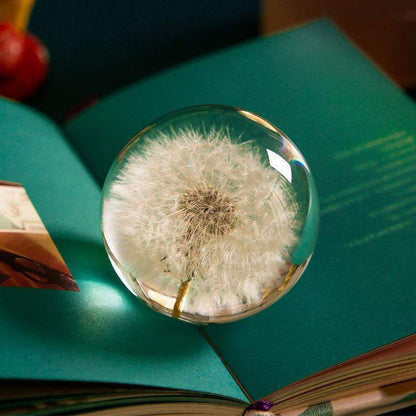 Real Dandelion Crystal Lens Ball