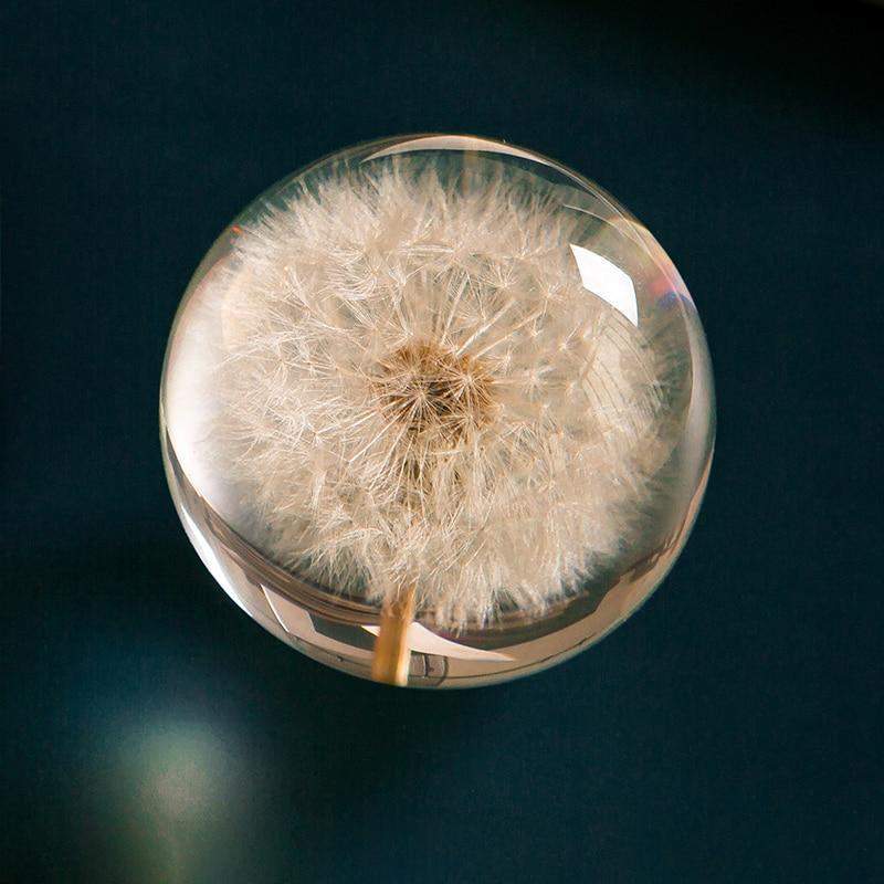 Real Dandelion Crystal Lens Ball