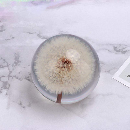 Real Dandelion Crystal Lens Ball