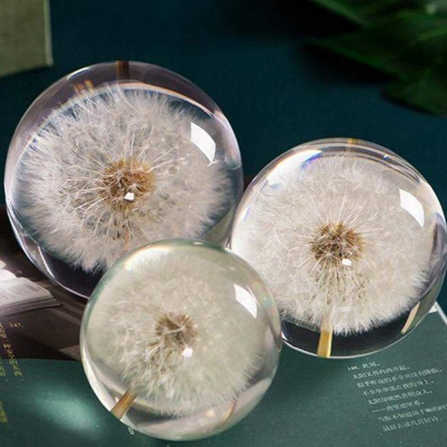 Real Dandelion Crystal Lens Ball