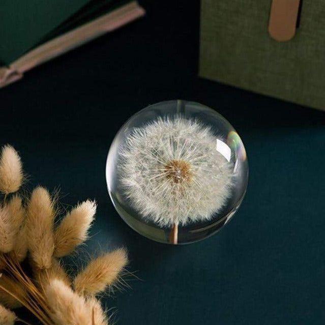 Real Dandelion Crystal Lens Ball