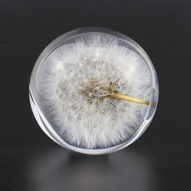 Real Dandelion Crystal Lens Ball