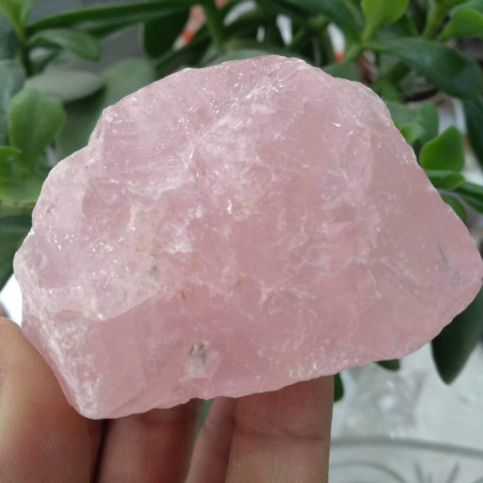 Rough Rose Quartz Crystals