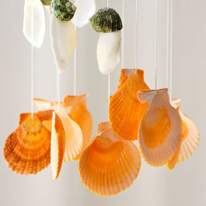 Natural Conch Shell Wind Chime