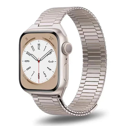 Titanium Luxury Magnetic Metal Strap for Apple Watch