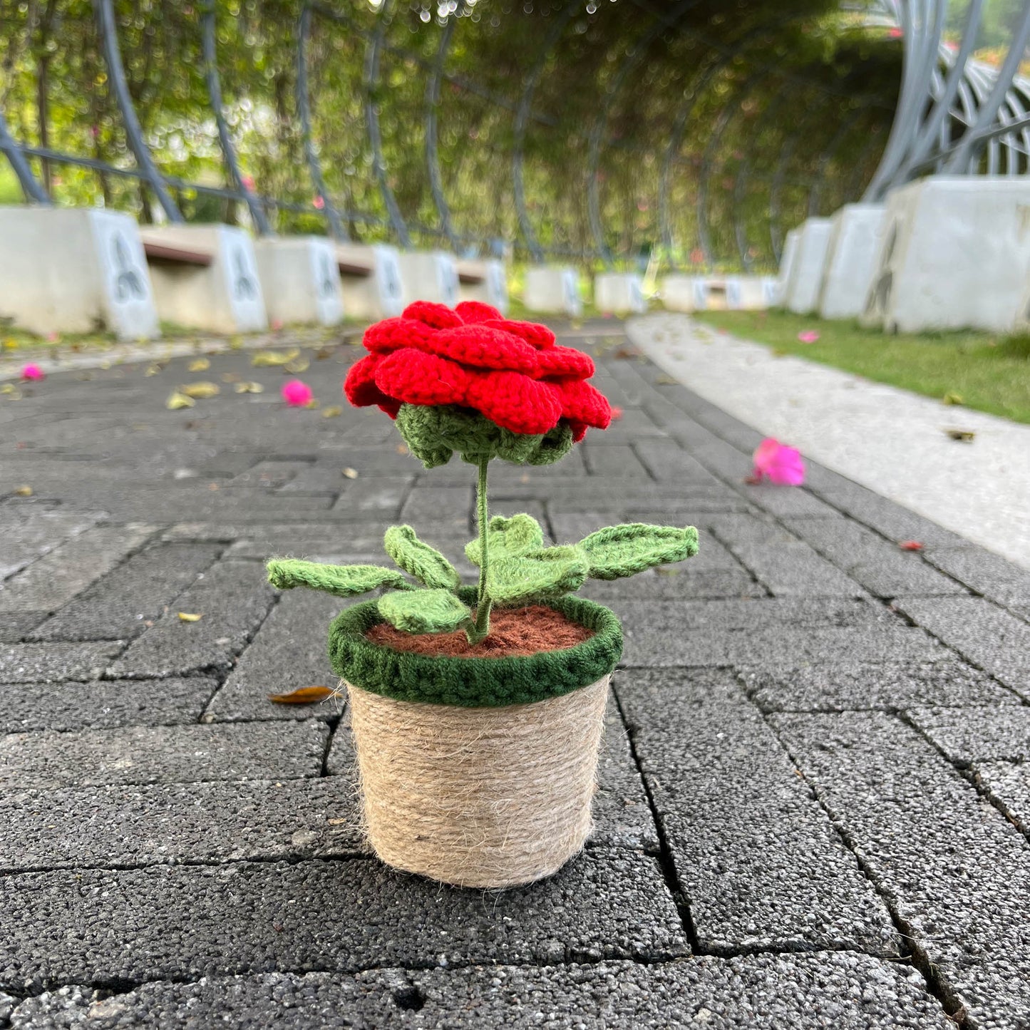 Hand Knitted Mini Potted Rose