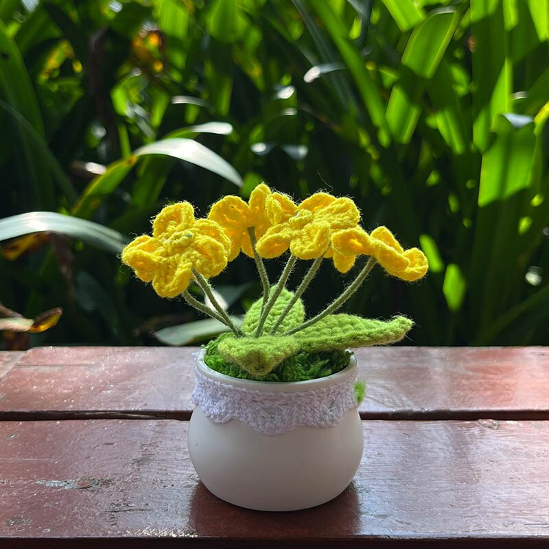 Hand Knitted Mini Potted Myosotis Flower