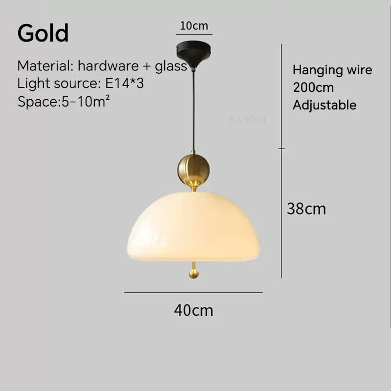 Stylish Pendant Light