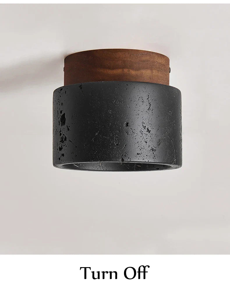 Mounted Black Stone Spot Light