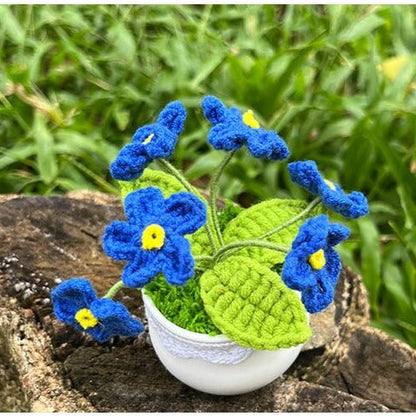 Hand Knitted Mini Potted Myosotis Flower