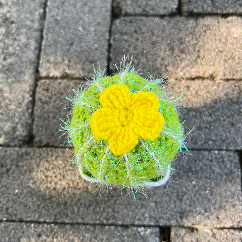 Hand-Knitted Cactus Plant