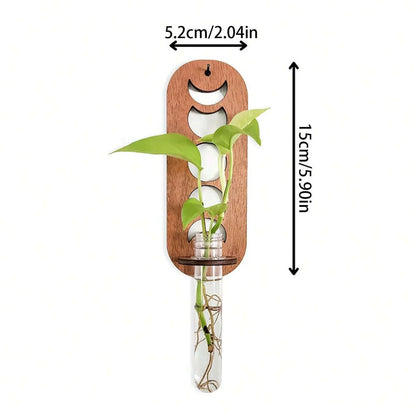 Jardinières murales célestes