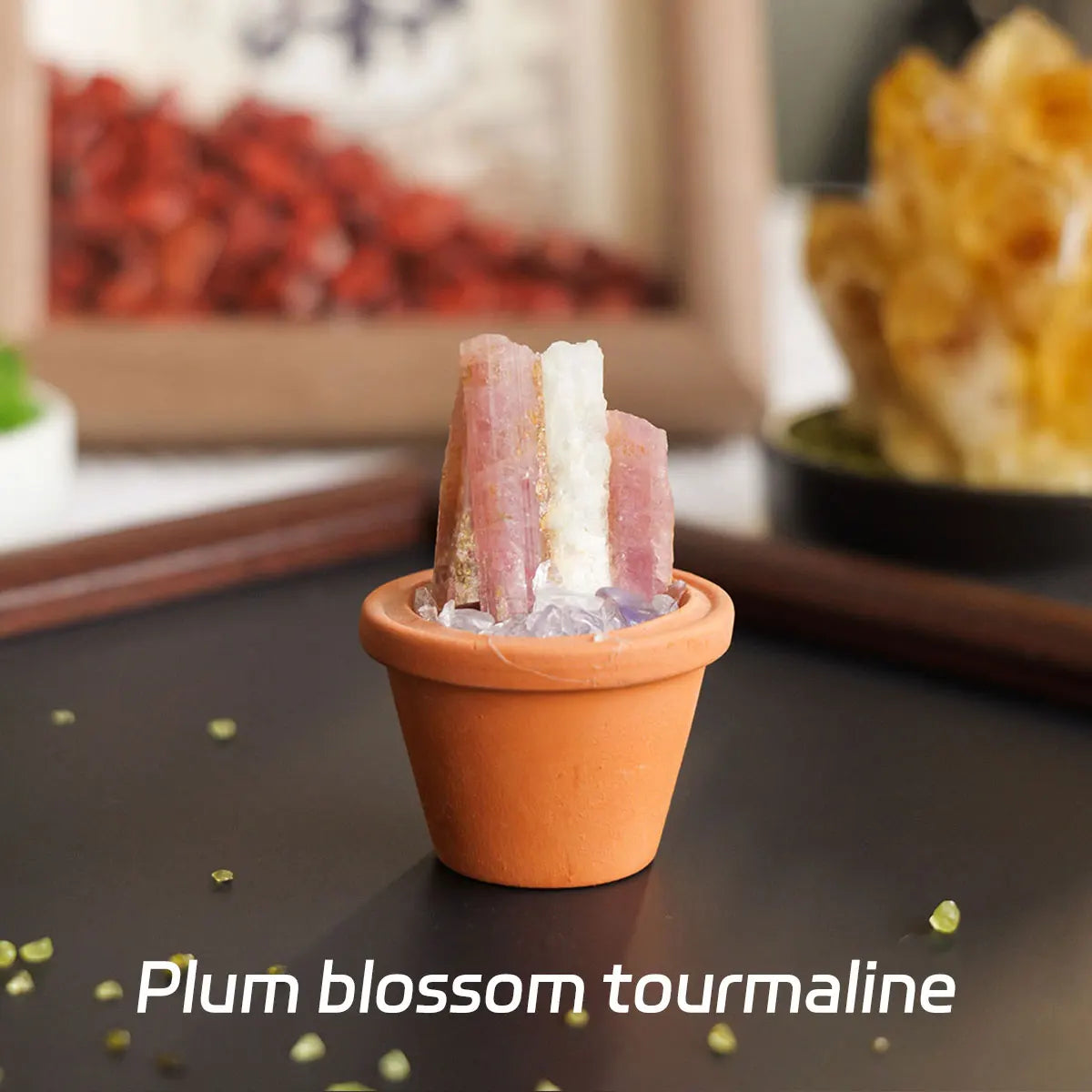 CrystalRoot™ Mini Gem Pot