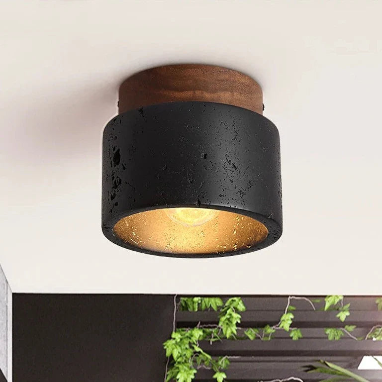 Mounted Black Stone Spot Light