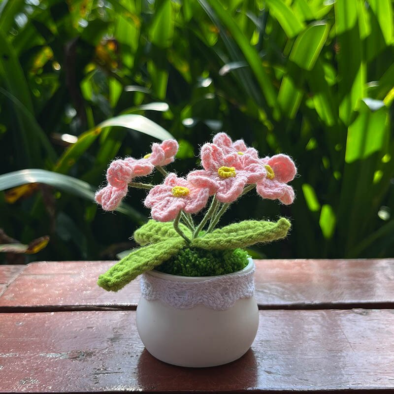 Hand Knitted Mini Potted Myosotis Flower