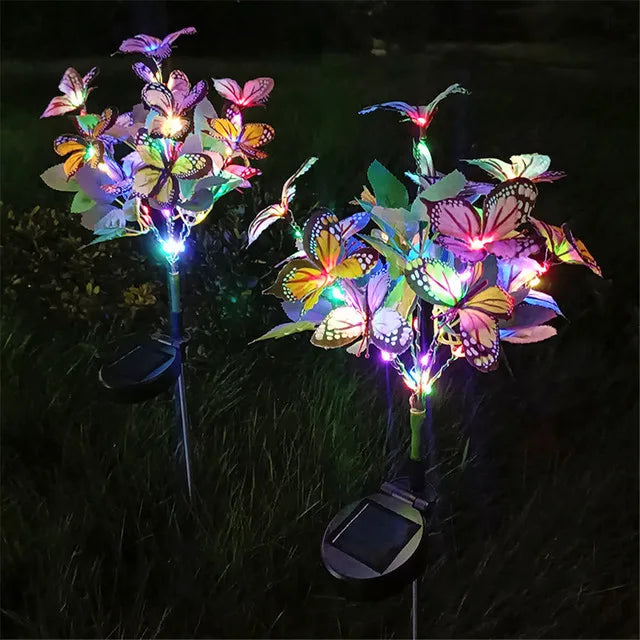 Lumières solaires papillons