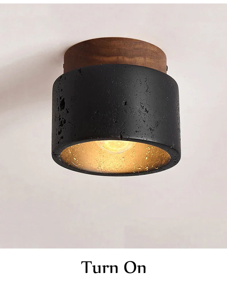 Mounted Black Stone Spot Light