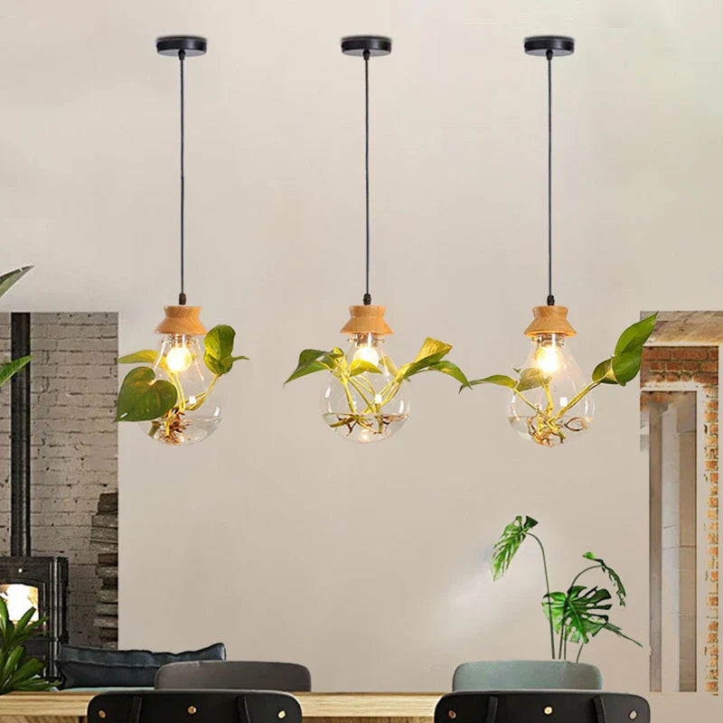 Glass Pendant Plant Light