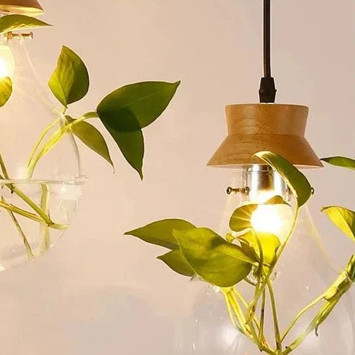 Glass Pendant Plant Light