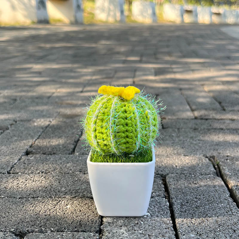 Hand-Knitted Cactus Plant