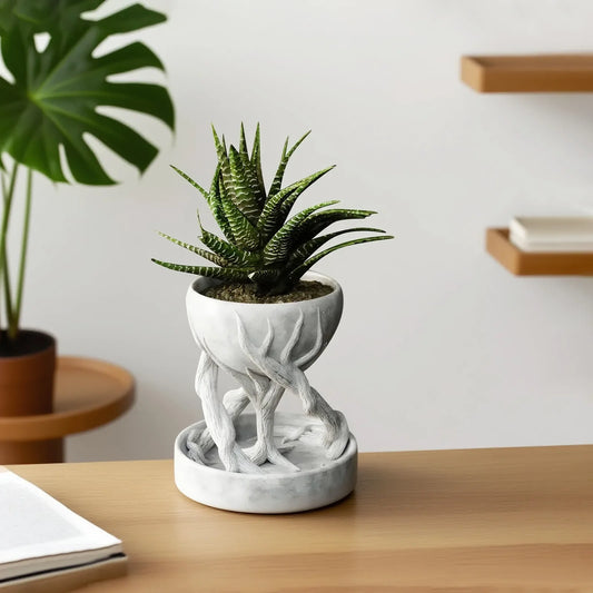 Baumwurzelpflanzer Pflanzgefäß